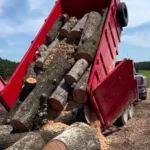 Load N Go Junk Removal dump trailer unloading yard waste and tree debris after storm