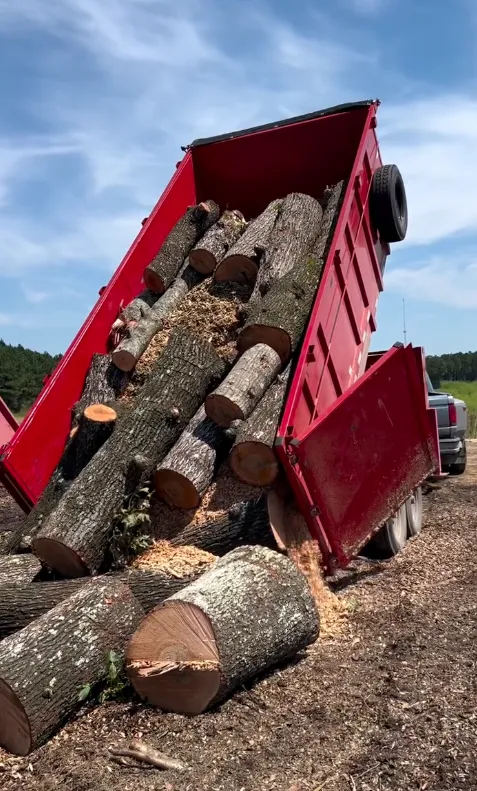 Load N Go Junk Removal dump trailer unloading yard waste and tree debris after storm