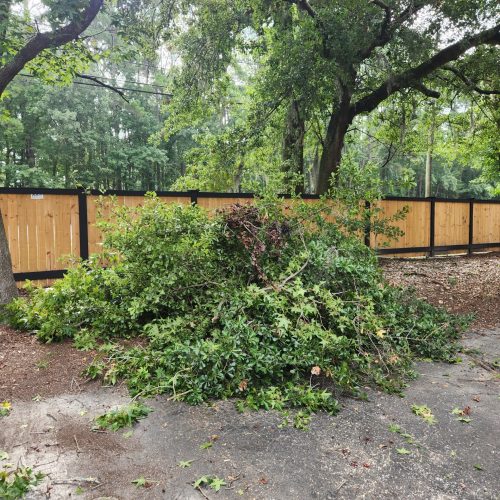 Yard debris 1