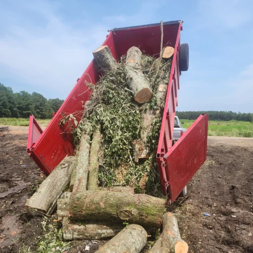 logs-in-trailer-2-_3_-_1_