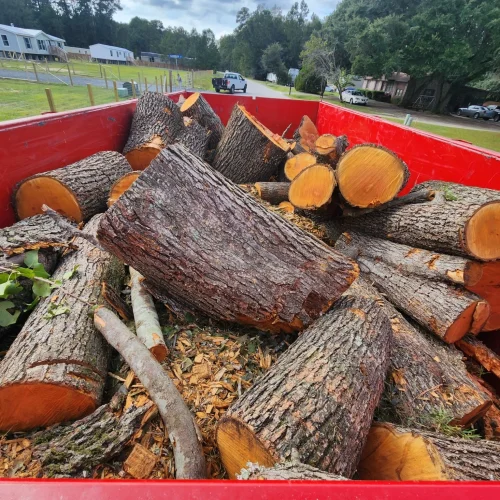 logs-in-trailer-_1_-_1_