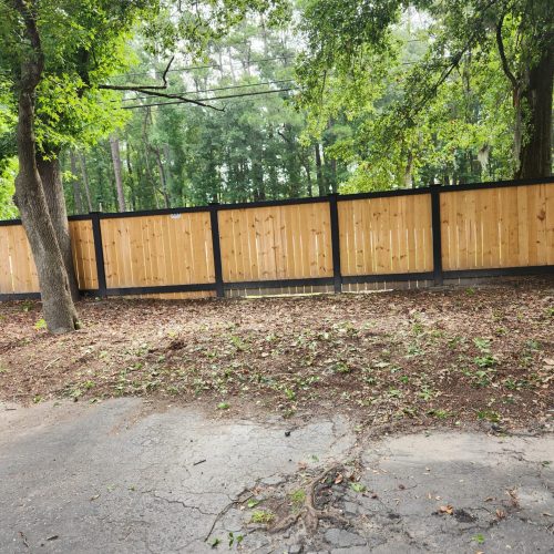 yard debris 2